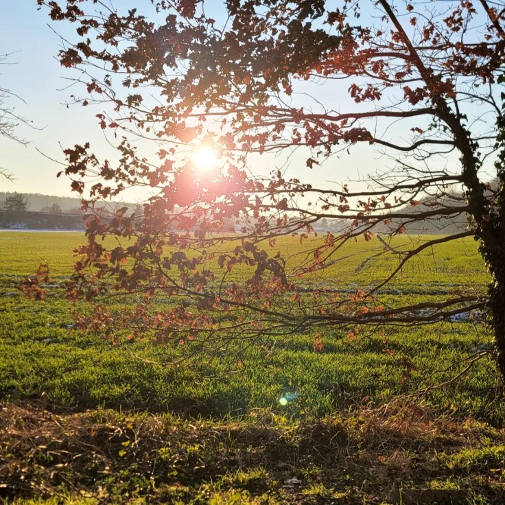 Une petite pause